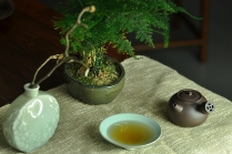 泓渝山房紫砂壶 金钱镂空~ 煮茶品茗 侧把巨轮 夏日风情~  电陶炉烧水 原矿黑星土 - 美壶网